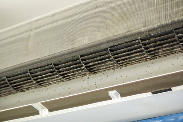 Best Ductwork Cleaning Services  in Lincoln Village, CA
